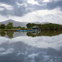 Kratie Tourism Africa