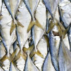 Old Market, Siem Reap Tourism Africa