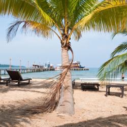Sihanoukville Tourism Africa