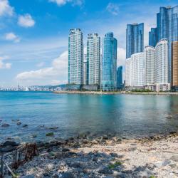 Busan Tourism Africa