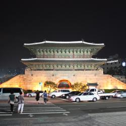 Dongdaemun Gate- Heunginjimun, Seoul Tourism Africa