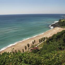 Jeju Jungmun Resort, Seogwipo Tourism Africa