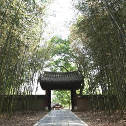 Jeonju Tourism Africa