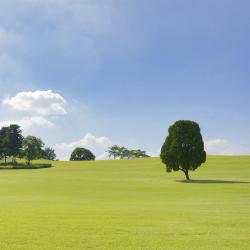 Olympic Park, Seoul Tourism Africa