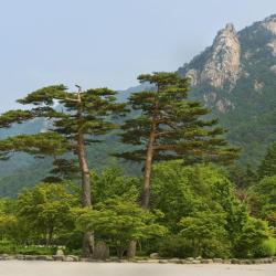 Sokcho Tourism Africa