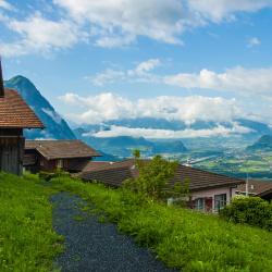 Triesenberg Tourism Africa