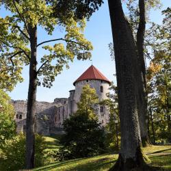 Cēsis Tourism Africa