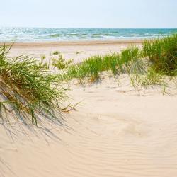 Jūrmala Tourism Africa