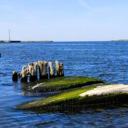Ventspils Tourism Africa