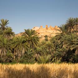 Guelmim Tourism Africa