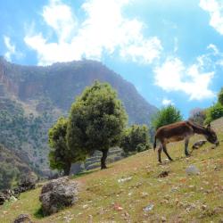Ifrane Tourism Africa