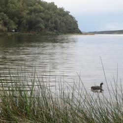 Kénitra Tourism Africa