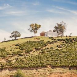 Rabat Tourism Africa