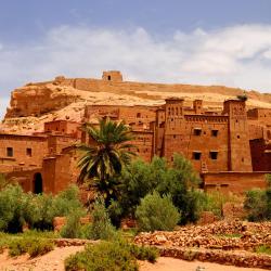 Zagora Tourism Africa