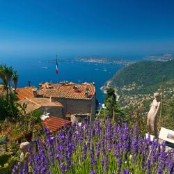 Exotic Garden of Monaco, Monte Carlo Tourism Africa
