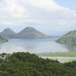 National Park Skadar Lake Tourism Africa