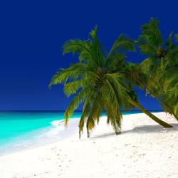 Baa Atoll Tourism Africa