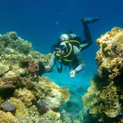 Dhigurah Tourism Africa