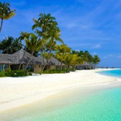 Maldives Tourism Africa