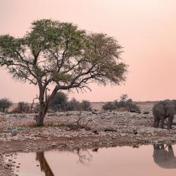 Outjo Tourism Africa