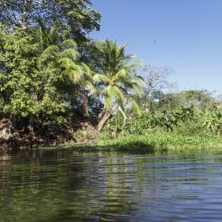 Moyogalpa Tourism Africa