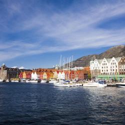 Bergen Tourism Africa