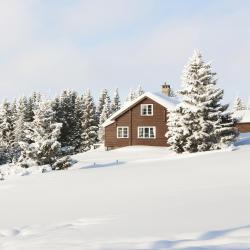 Lillehammer Tourism Africa