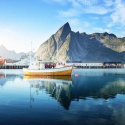 Lofoten Tourism Africa