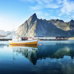 Northern Norway Tourism Africa