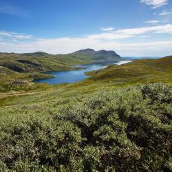 Telemark Tourism Africa