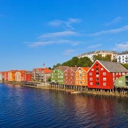 Trondheim Tourism Africa