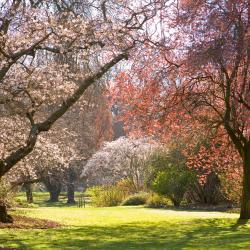 Christchurch Tourism Africa