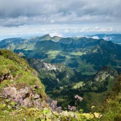 Coromandel Peninsula Tourism Africa