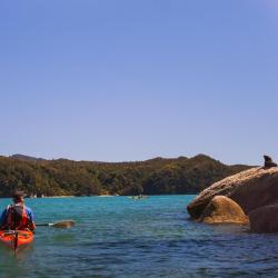 Golden Bay Tourism Africa