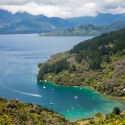 Marlborough Sounds Tourism Africa