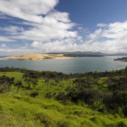 Northland Tourism Africa