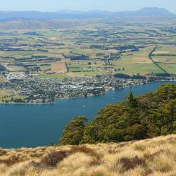 Te Anau Tourism Africa