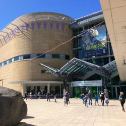 Te Papa Museum, Wellington Tourism Africa