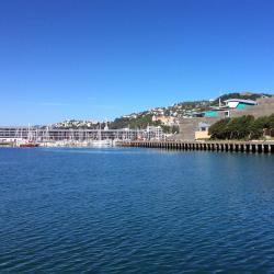 Wellington Tourism Africa