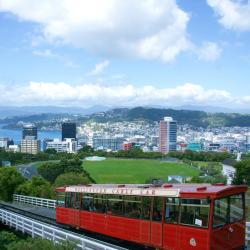 Wellington Tourism Africa