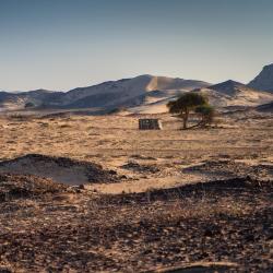 Al Sharqiyah Tourism Africa