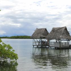 Bocas del Toro Tourism Africa