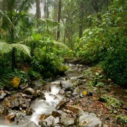 Boquete Tourism Africa