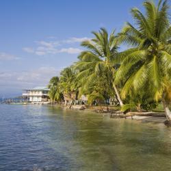 Carenero Island Tourism Africa