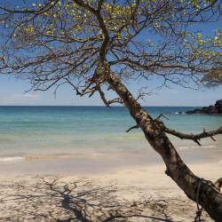 Chiriqui Tourism Africa