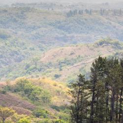 Cocle Tourism Africa