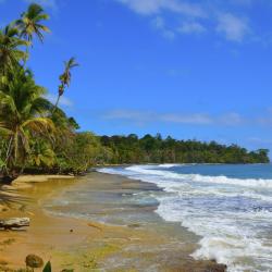 Isla Colon Tourism Africa