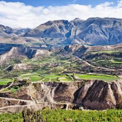 Colca Canyon, Chivay Tourism Africa