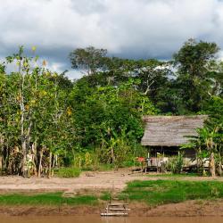 Iquitos Tourism Africa