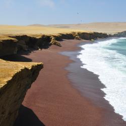 Paracas Tourism Africa